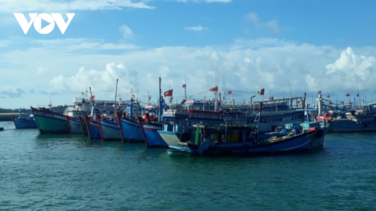 Tạm dừng hoạt động các tàu khách tuyến Phan Thiết – Phú Quý